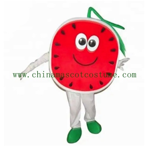 Watermelon Outfit Costom Design Costume, mascot costume with AD design from China