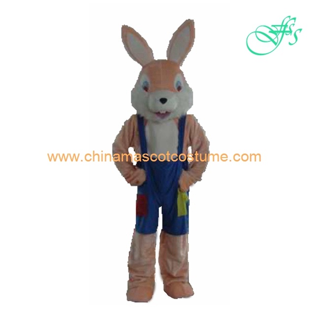 Rabbit story charactor mascot costume