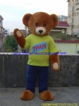 Teddy bear character costume, teddy bear mascot costume