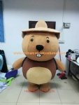 Inflatable Groundhog animal mascot costume