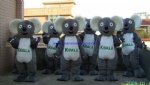 Koala plush mascot costume, koala moving mascot costume