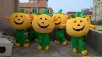 Pumpkin food mascot costume