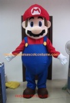 Super Mario cartoon mascot costume