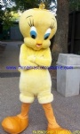 Tweety and Sylvester cartoon mascot costume
