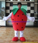 Strawberry fruit moving mascot costume