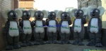 Koala cartoon mascot costume
