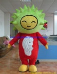 Hedgehog character mascot costume